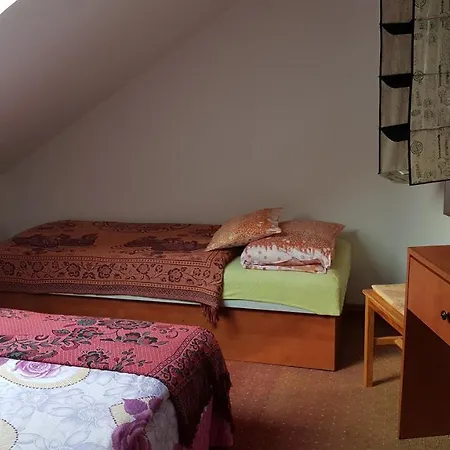 Pensionat Meszoely Vendeghaz 3*